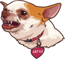 Chihuahua Lily Lu Meme