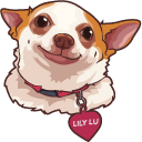 Chihuahua Lily Lu Meme