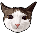 Crunchy Cat Meme