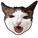 Crunchy Cat Meme