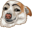 Eyebrows Dog Meme