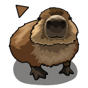 His Name Gort Capybara Meme