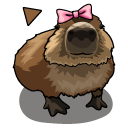 His Name Gort Capybara Meme