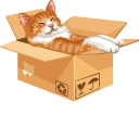 If It Fits I Sits Meme