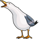 Inhaling Seagull Meme