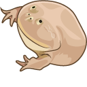 It Is Wednesday My Dudes Meme