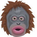 Le Monke Meme