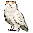 Meowl Meme
