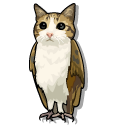 Meowl Meme