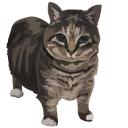Oo Ee A E A Cat aka Oiia Meme