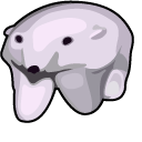 Polar Bear GIF Meme