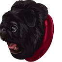 Pug and Present Bone Meme
