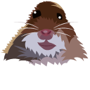 Staring Hamster Meme