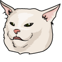 Woman Yelling at a Cat Meme
