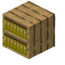Minecraft Boxes of Infinite Books