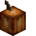Minecraft Cocoa Pods