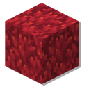 Minecraft Fire Coral and Fire Coral Block