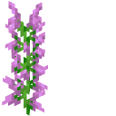 Minecraft Magenta Dye and Lilac