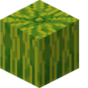 Minecraft Melon Slice and Melon