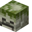 Minecraft Mossy Skeleton and Bone