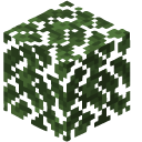 Minecraft Shears and Leaves