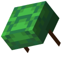 Minecraft Turtle Shell