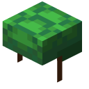 Minecraft Turtle Shell