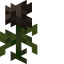 Minecraft Wither Rose and Black Dye