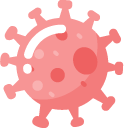 Minimal Bacteria