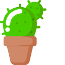 Minimal Cactus