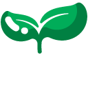 Minimal Green Sprout