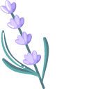 Minimal Lavender