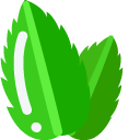 Minimal Mint