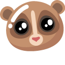 Minimal Mouse Lemur