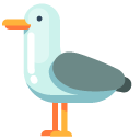 Minimal Seagull