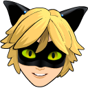 Miraculous Ladybug Cat Noir