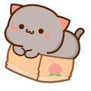 Mochi Mochi Peach Cats Peach and Goma in a Box