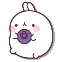 Molang and a Blueberry Macaron