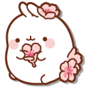 Molang and Piu Piu with Sakura Flowers