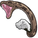 Naruto Orochimaru