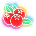Neon Lingonberry and Blueberry