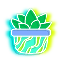 Neon Succulents in Plant Pots