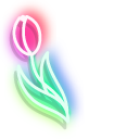 Neon Tulip