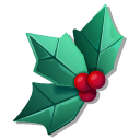 Origami Christmas Star and Holly Leaves