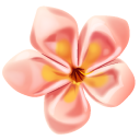 Origami Plumeria and Sakura Flowers