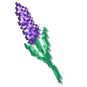 Hydrangea and Lavender Flowers Pixel