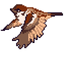 Sparrow Pixel