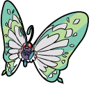 Pokemon Butterfree and Gigantamax Butterfree