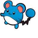 Pokemon Marill and Azumarill