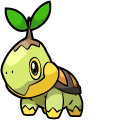Pokemon Turtwig and Grotle